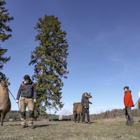Eifelnomaden Schönecker Schweiz, © Eifelnomaden Julietta Baums
