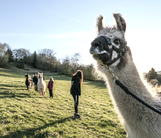 Wanderung 3, &copy; eifelnomaden, J. Baums
