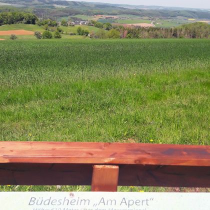 Eine grüne Wiese mit sanften Hügeln im Hintergrund. Der Himmel ist klar und die Landschaft strahlt Ruhe aus.