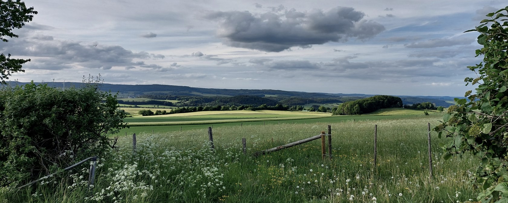 Uitzicht op de oostelijke kalksteengroeve Büdesheim, © Tourist-Information Prümer Land Elke Dahm