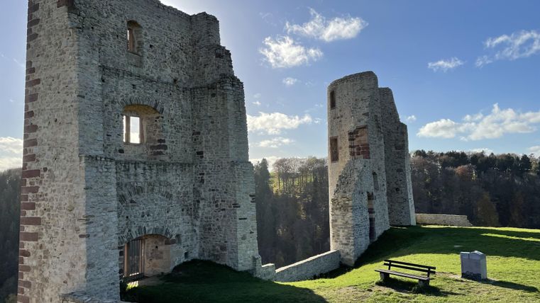 Eine historische Burgruine mit hohen Mauern aus hellem Stein. Im Hintergrund sind Bäume und ein klarer Himmel sichtbar.