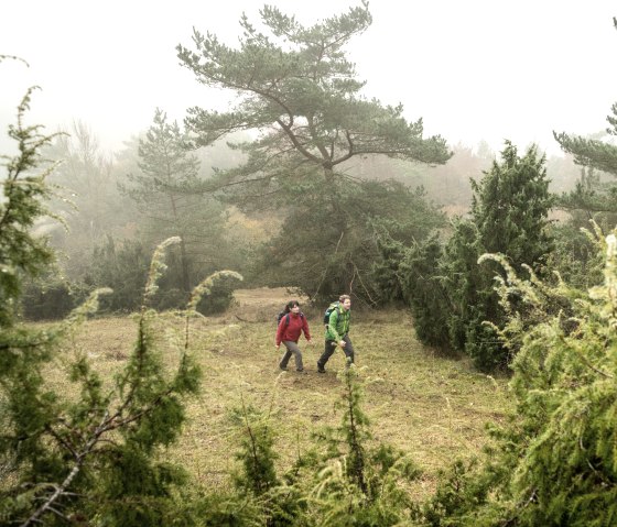 Randonneurs dans la Suisse de Schöneck, © Eifel Tourismus GmbH, Dominik Ketz