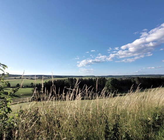 Olzheim, &copy; TI Pr&uuml;mer Land