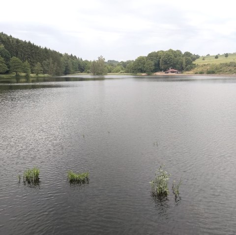 Stausee Auw, &copy; I. Schaperdoth