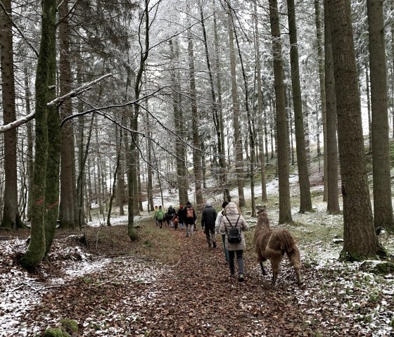 Wanderung 2, &copy; eifelnomaden, J. Baums