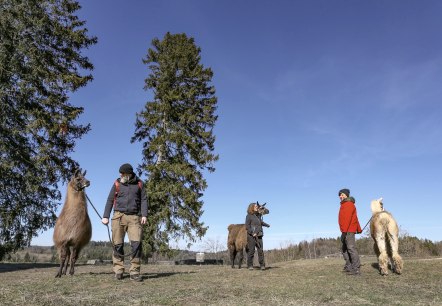 Eifelnomaden Hocheben Schönecker Schweiz, © Eifelnomanden, Julietta Baums