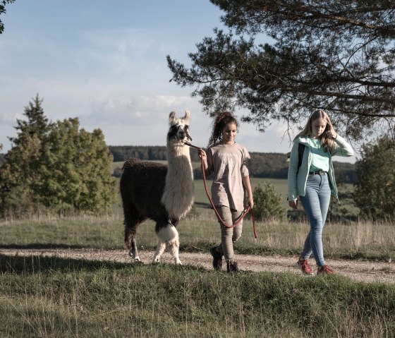Lama-Wanderung durch die Schönecker Schweiz, © Eifelnomaden, Julietta Baums