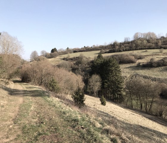 Blick in Kalkmagerrasental, &copy; Eifel Tourismus GmbH