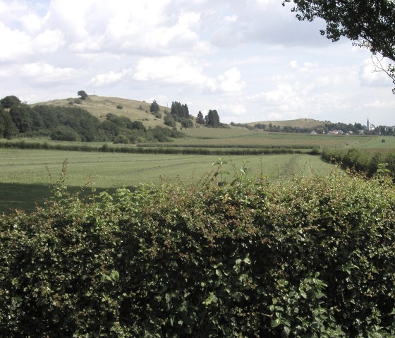 Uitzicht op kasteel Hartelstein bij Schwirzheim, © Naturparkzentrum Prümer Land
