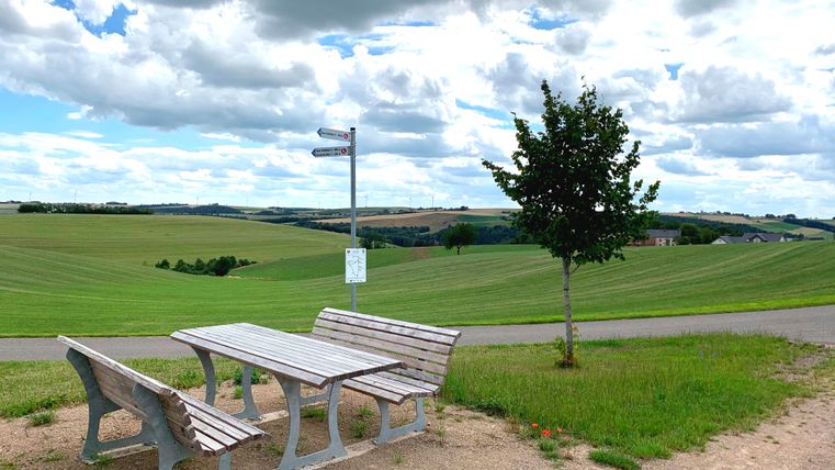 Un groupe de sièges en bois à côté d'un arbre et d'un chemin, derrière les vastes champs verts