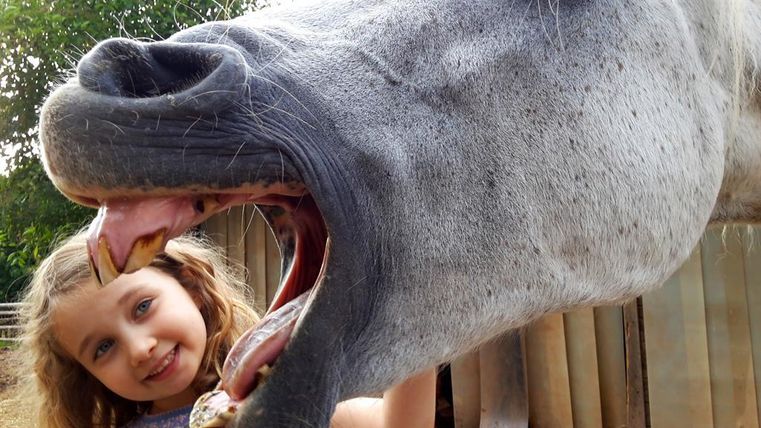 Ein Mädchen mit lockigen Haaren lächelt neben einem Pferd. Das Pferd hat den Mund weit geöffnet und zeigt seine Zähne.