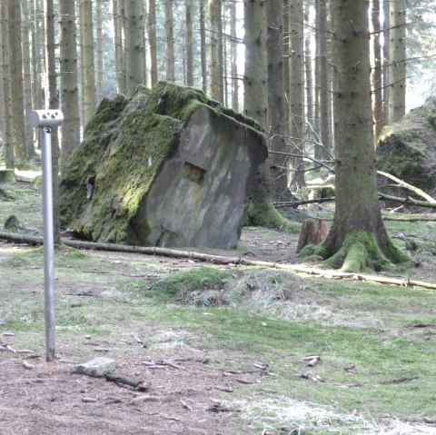 Gesprengte Bunkeranlage (Archich TI Prüm)