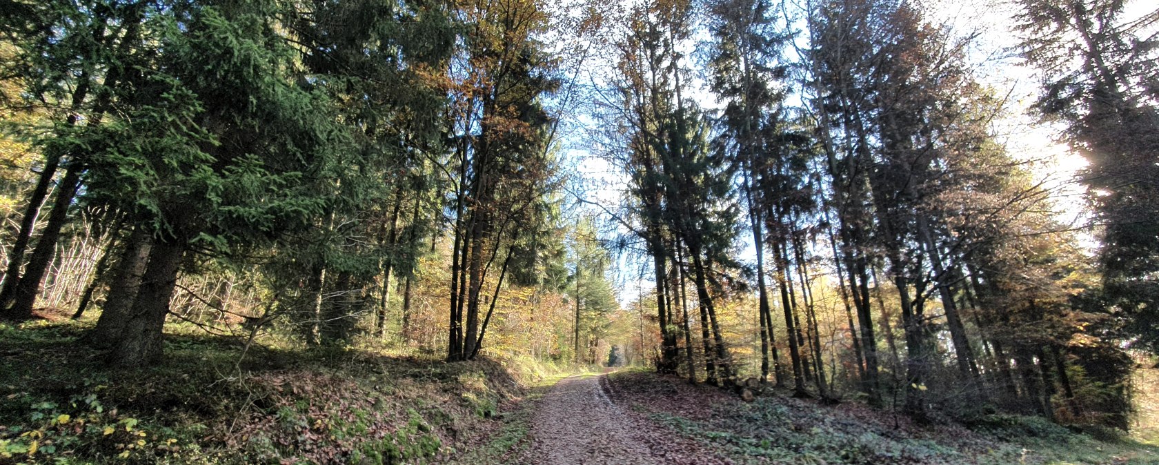 Tettenbusch, &copy; S. Wiesen