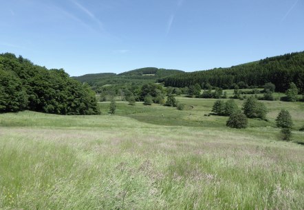 Mehlental, &copy; Tourist-Information Pr&uuml;mer Land