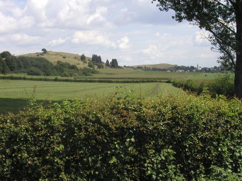 Eine grüne Landschaft mit sanften Hügeln und einem blauen Himmel. Im Vordergrund ist eine Hecke zu sehen, die die Sicht auf das Feld und die Hügel dahinter rahmt.