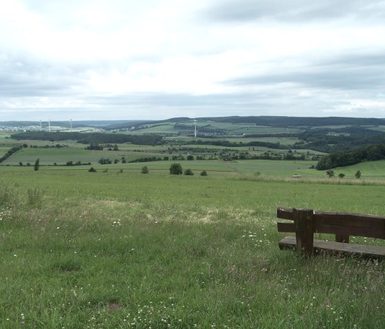 Zicht op de oostelijke kalksteengroeve, © Naturparkzentrum Prümer Land
