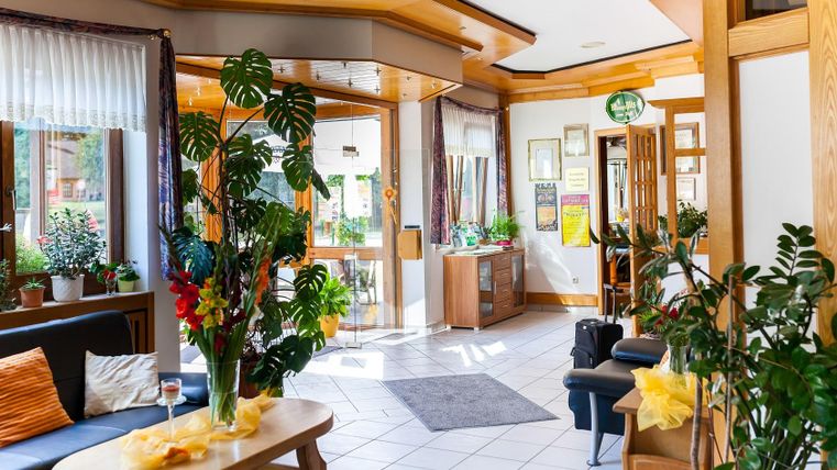 Ein einladender Empfangsbereich mit gemütlicher Einrichtung und Pflanzen. Die große Fensterfront lässt viel Tageslicht herein.