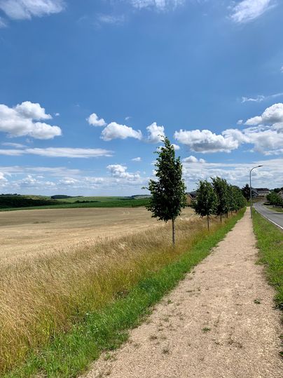 Un chemin piétonnier caillouteux à côté d'une route carrossable et d'un champ avec de petits arbres par temps venteux