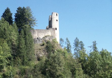 Burgruine Schönecken, © Naturpark Nordeifel Geschäftsstelle Prüm