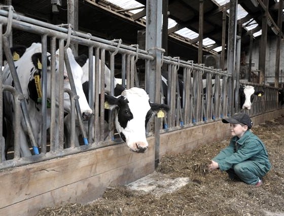 Cowshed