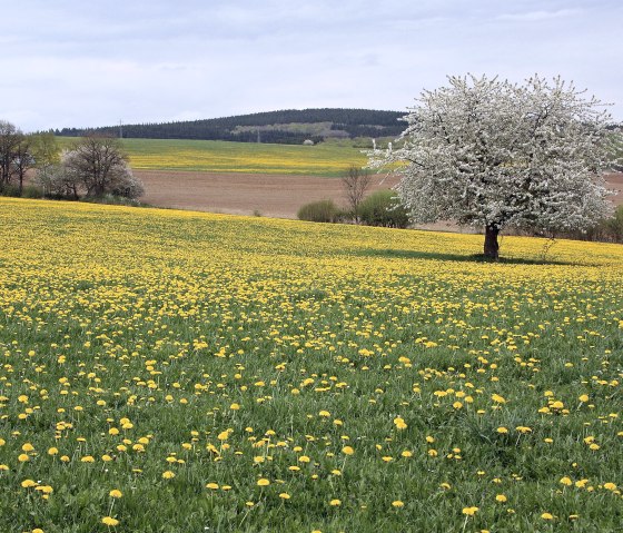 Brandscheid, © TI Prümer Land