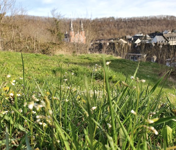 View of the St. Salvator Basilica in Pr&uuml;m from the hiking trail, &copy; Tourist-Information Pr&uuml;mer Land
