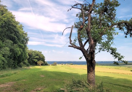 Wanderung Felsenland, © TI Felsenland