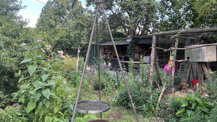 Ein Garten mit grünen Pflanzen und bunten Blumen. Im Vordergrund steht ein alter Kessel und im Hintergrund sind ein Schuppen und ein Zaun zu sehen.