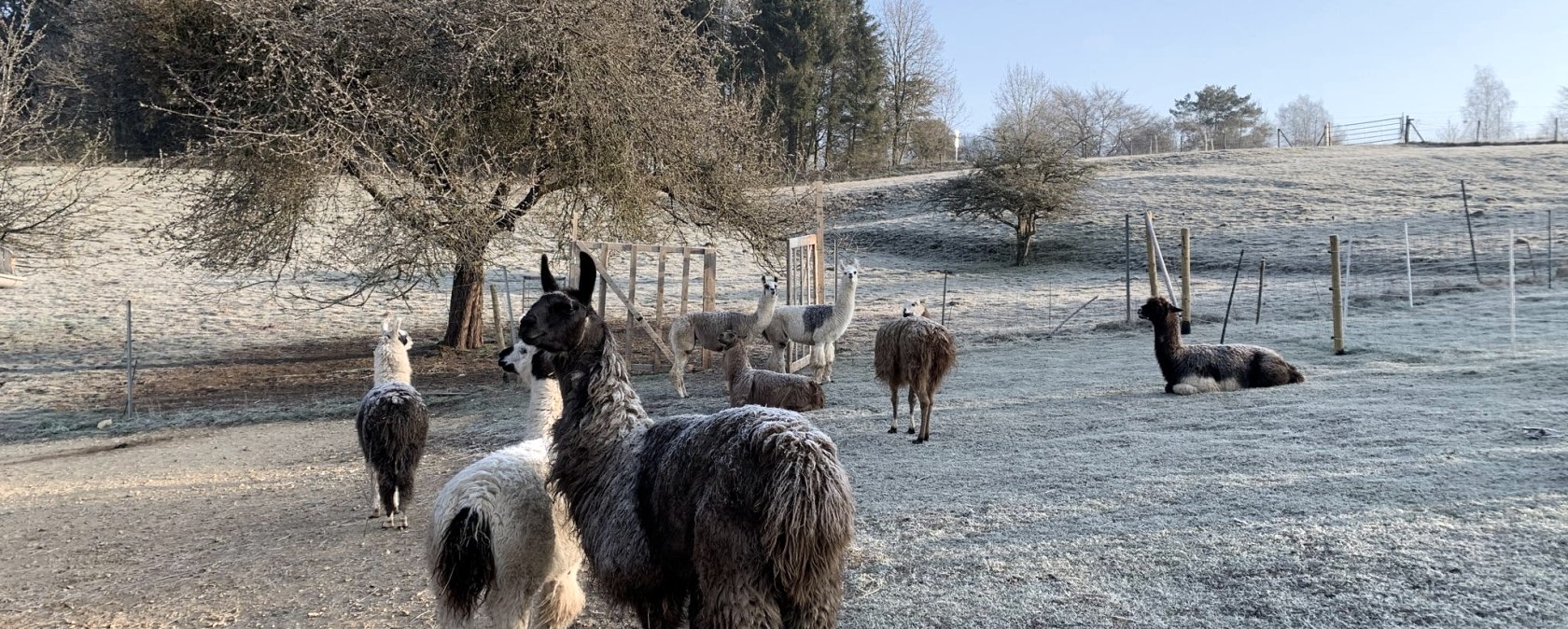 Winter, &copy; eifelnomaden, J. Baums