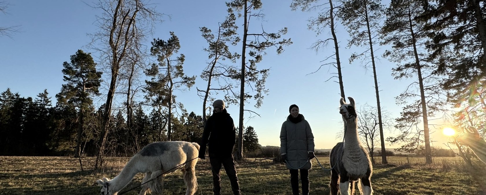 Neujahrswanderung, &copy; eifelnomaden, J. Baums