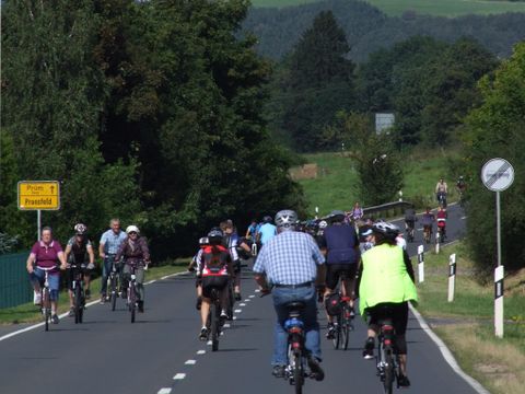 Eine Gruppe von Radfahrern fährt auf einer Landstraße. Umgeben von Bäumen und einer grünen Landschaft.