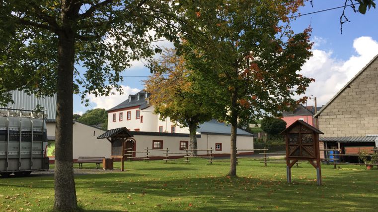 Ein ruhiger Hof mit grünem Rasen und Bäumen. Im Hintergrund sind einige Gebäude sichtbar.