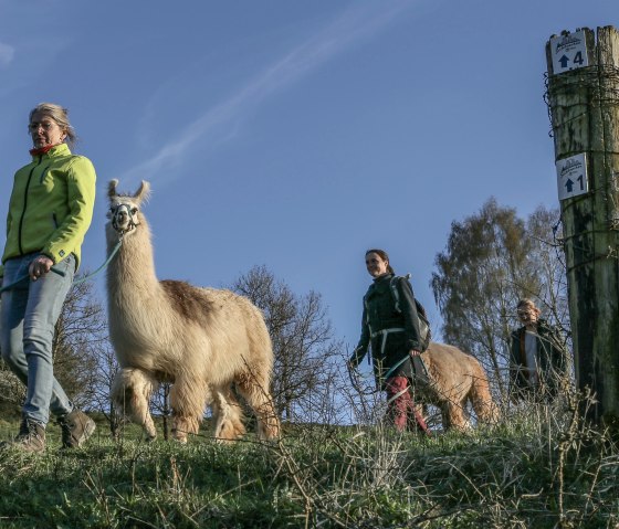 Wanderung 2, &copy; eifelnomaden, J. Baums