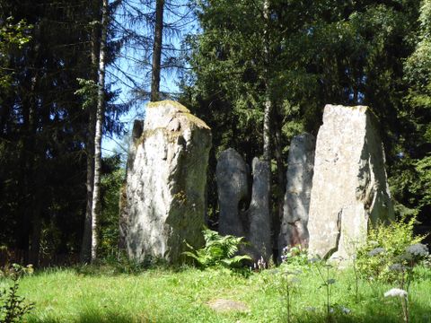 Eine Gruppe großer Steine steht in einem grünen Wald. Die Umgebung ist von Bäumen und Farnen umgeben.