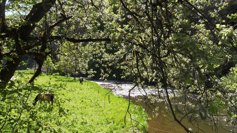 Ein ruhiger Fluss umgeben von grünen Wiesen und Bäumen. Im Hintergrund sind Menschen zu sehen, die die Natur genießen.