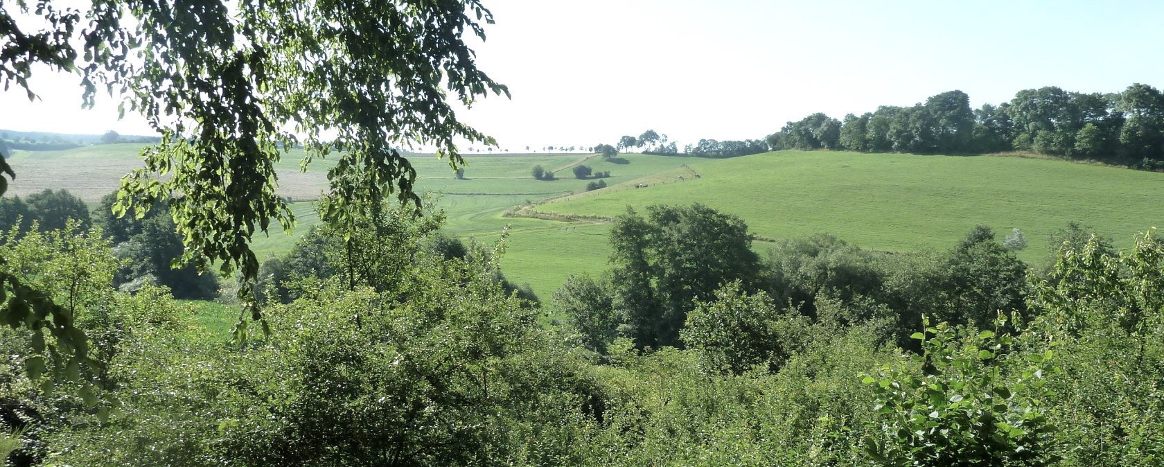 Landschaft bei Bleialf, © Tourist-Information Prümer Land