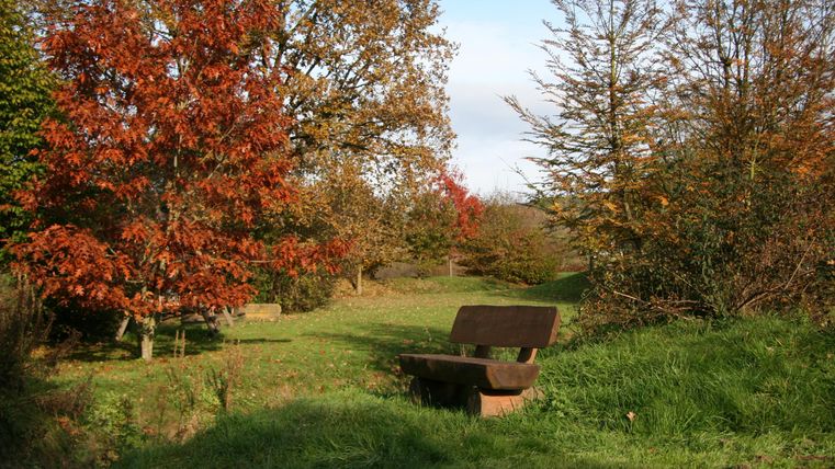 Ein ruhiger Park mit bunten Herbstbäumen und einer Bank. Die Landschaft ist grün mit sanften Lichtverhältnissen.