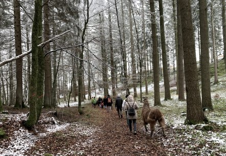 Wanderung 2, &copy; eifelnomaden, J. Baums