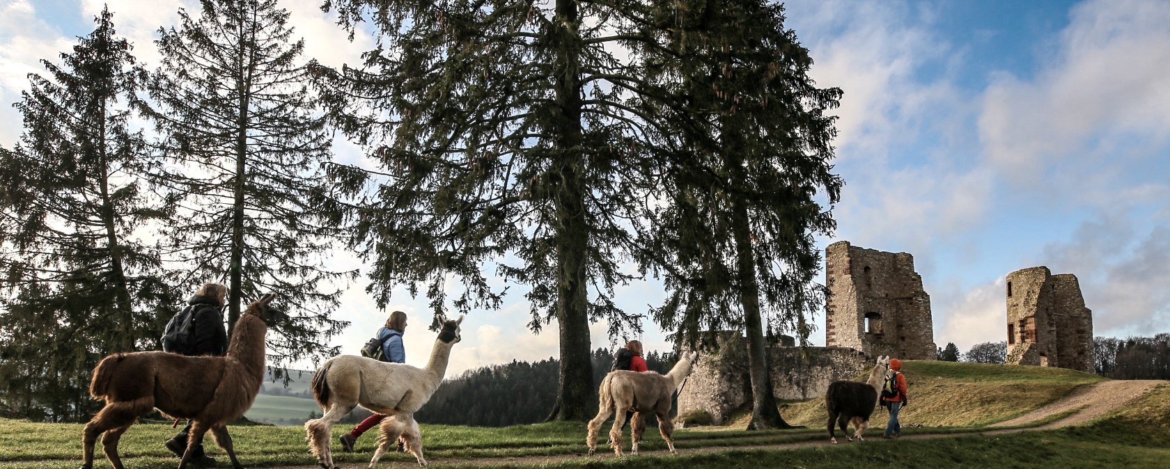 Eifelnomaden an der Burgruine Sch&ouml;necken, &copy; Eifelnomaden, Julietta Baums