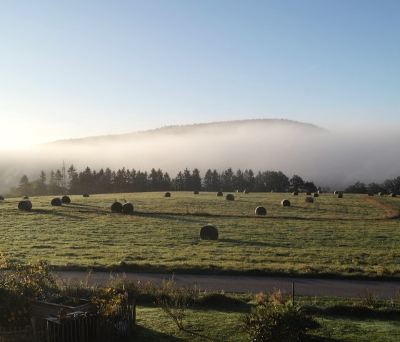 Blick aus der Ferienwohnung