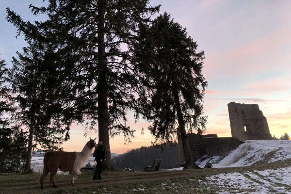 Mulled wine hike to the Schönecken castle ruins