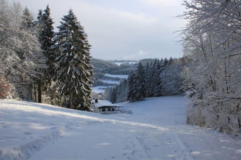 Eine verschneite Landschaft mit hohen, schneebedeckten Bäumen. Im Vordergrund ist ein Weg, der zu einem kleinen Haus führt.