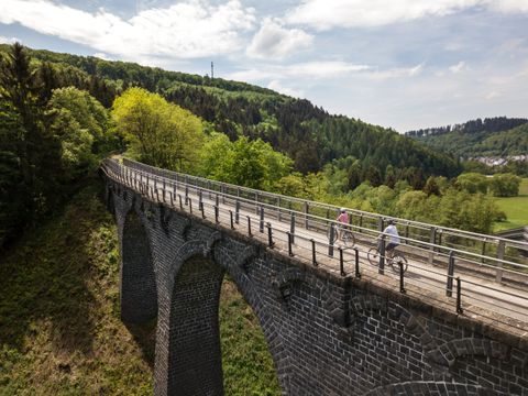 Zwei Radfahrer auf einem Viadukt im Grünen.