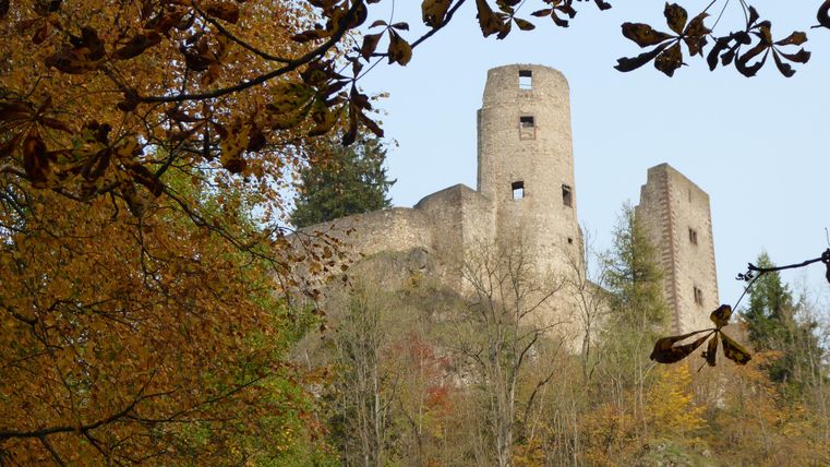 Eine alte Burgruine auf einem Hügel, umgeben von buntem Herbstlaub. Der klare Himmel bietet einen schönen Kontrast zur historischen Architektur.