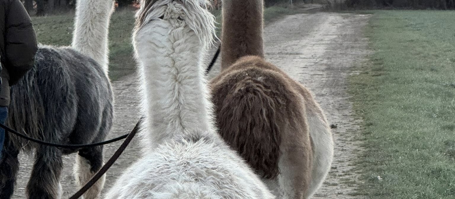 Wanderung, &copy; eifelnomaden, J. Baums