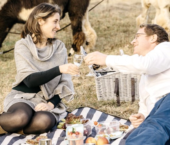 Picknick auf der Lama-Weide, &copy; eifelnomaden, J. Baums