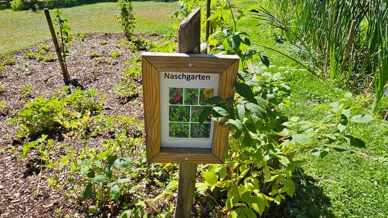 Ein Schild zeigt den "Naschgarten" mit Bildern von verschiedenen Pflanzen. Der Garten ist grün und sonnig, umgeben von einer bunten Pflanzenvielfalt.