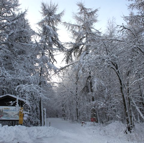 Zuweg zur Wolfsschlucht, © Tourist-Information Prümer Land