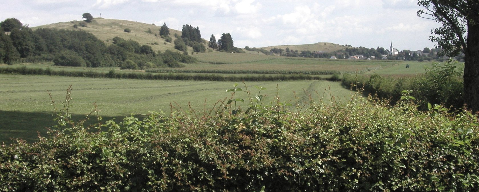 Landschaft bei Schwirzheim, © Tourist-Information Prümer Land