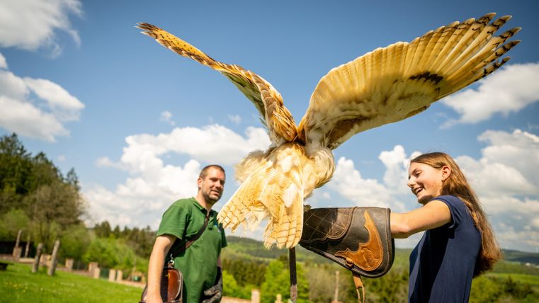 Un homme et une femme se tiennent à l'extérieur, tandis qu'un oiseau vole au-dessus d'eux. Le soleil brille, et en arrière-plan, on peut voir des arbres et un ciel bleu.